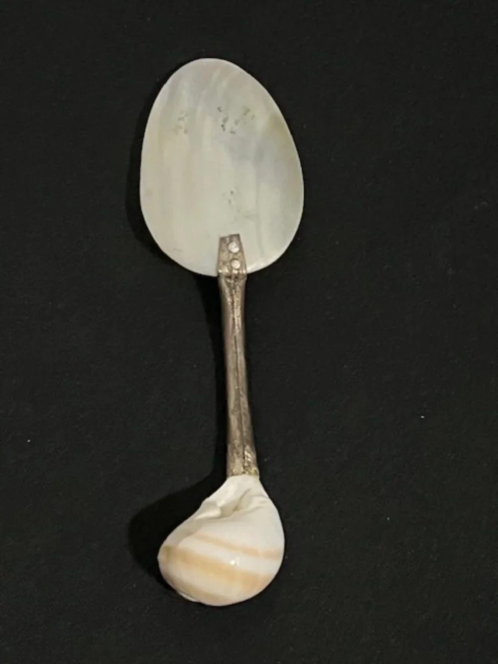 Vintage Mother of Pearl Caviar Serving Spoon Silverplate Sea Shell Handle